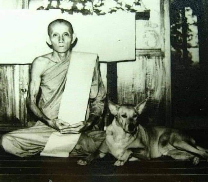 pra and dog